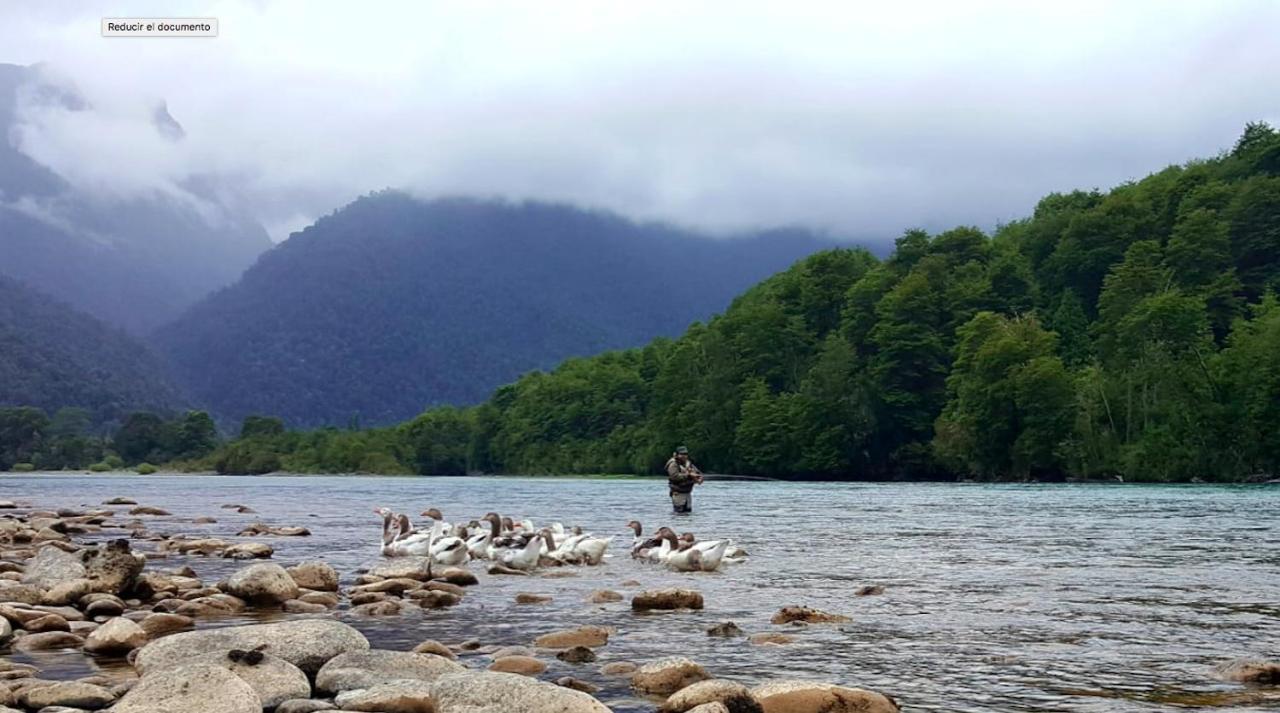 Cabanas Nutrias Patagonicas Puelo River Kültér fotó